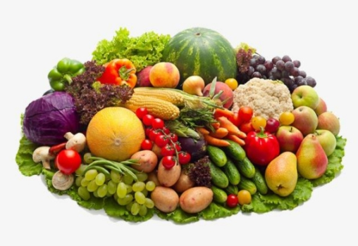 垃圾分類后,濕垃圾怎么處理好?